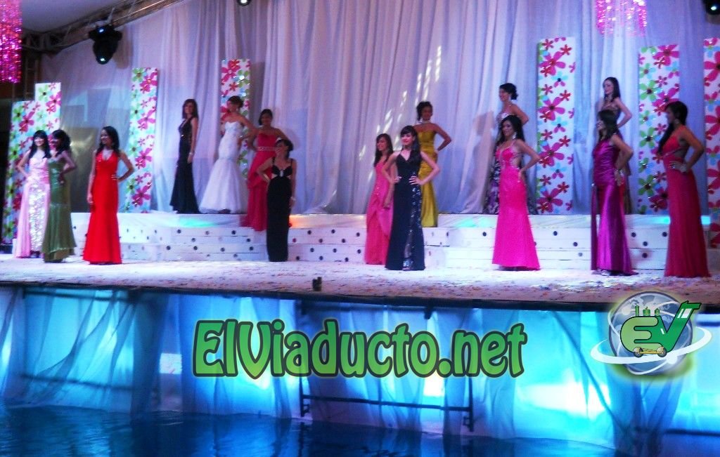 Las 15 candidatas de la Mis Rosario 2011